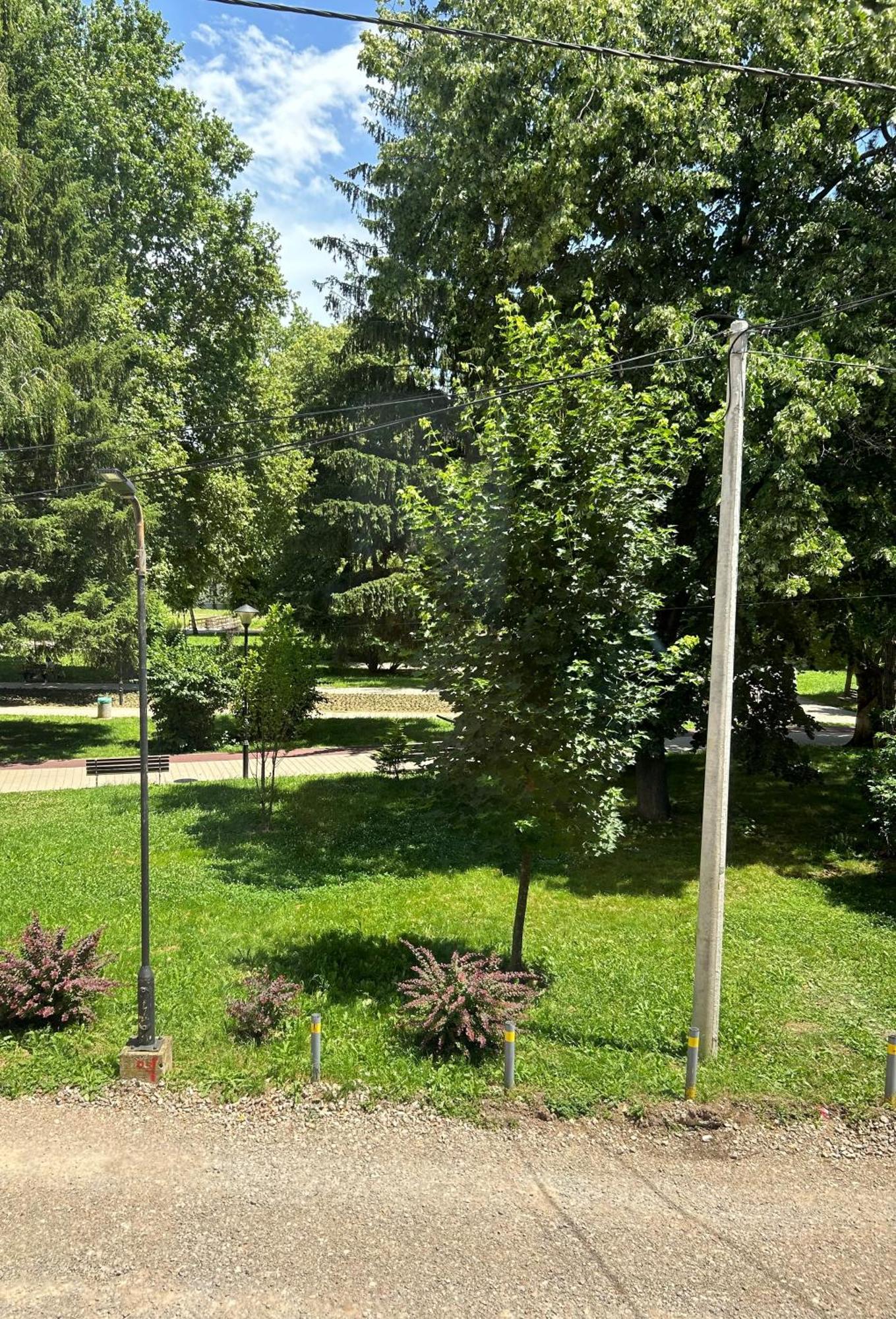 Vila Markovic-A Soko Banja Ruang foto